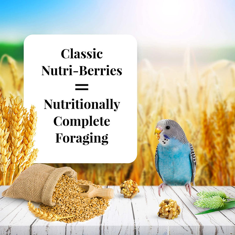 Lafeber Classic Nutri-Berries Pet Bird Food, Made with Non-Gmo and Human-Grade Ingredients, for Parakeets (Budgies), 4 Lb