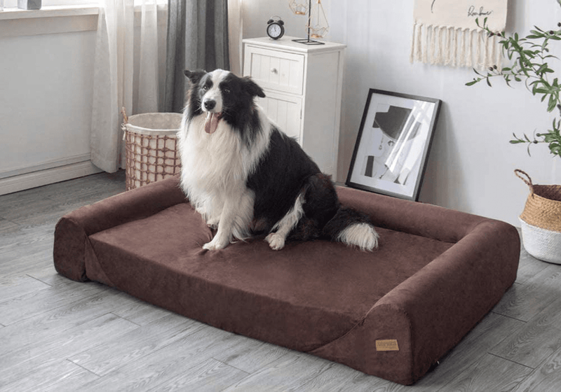 6-Inch Thick High Grade Orthopedic Memory Foam Sofa Dog Bed Easy to Wash Removable Cover with Anti-Slip Bottom. Free Waterproof Liner Included - Jumbo XL 56" X 40" for Large Dogs Animals & Pet Supplies > Pet Supplies > Dog Supplies > Dog Beds Onix Electronics LLC   
