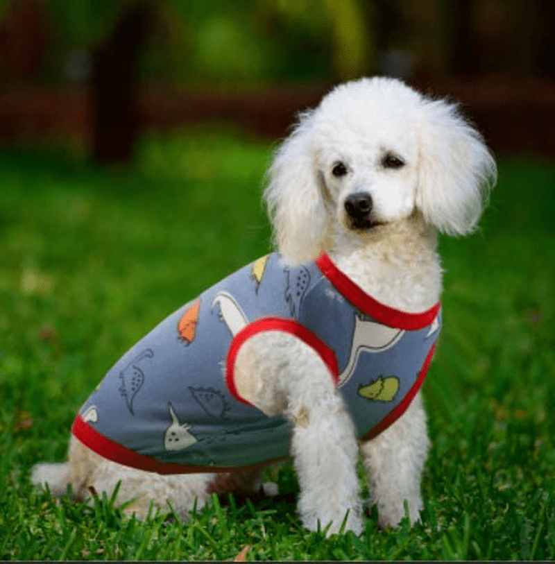 6 Pieces Dog Shirts Cute Printed Dog Clothes Soft Cotton Pet T Shirt Breathable Puppy Sweatshirt Apparel Outfit for Pet Dog Animals & Pet Supplies > Pet Supplies > Dog Supplies > Dog Apparel Geyoga   