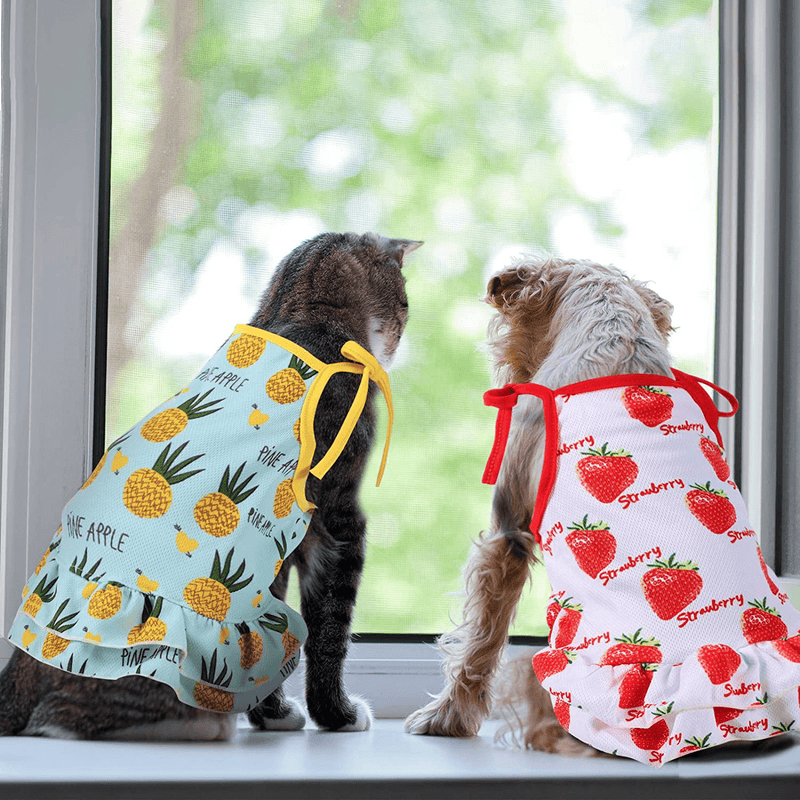 6 Pieces Pet Clothes Set Includes 3 Pieces Cute Pet Dress Lovely Summer Fruit Dog Dress and 3 Pieces Dog Shirts Breathable Pet T-Shirts Puppy Clothes Cat Apparels for Small Dogs Puppy Cats (M Size) Animals & Pet Supplies > Pet Supplies > Cat Supplies > Cat Apparel Weewooday   
