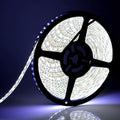 600 Leds Light Strip Waterproof, SUPERNIGHT 16.4FT Green LED Rope Lighting Flexible Tape Decorate for Bedroom Boat Car TV Backlighting Holidays Party (Green) Home & Garden > Pool & Spa > Pool & Spa Accessories SUPERNIGHT Cool White  