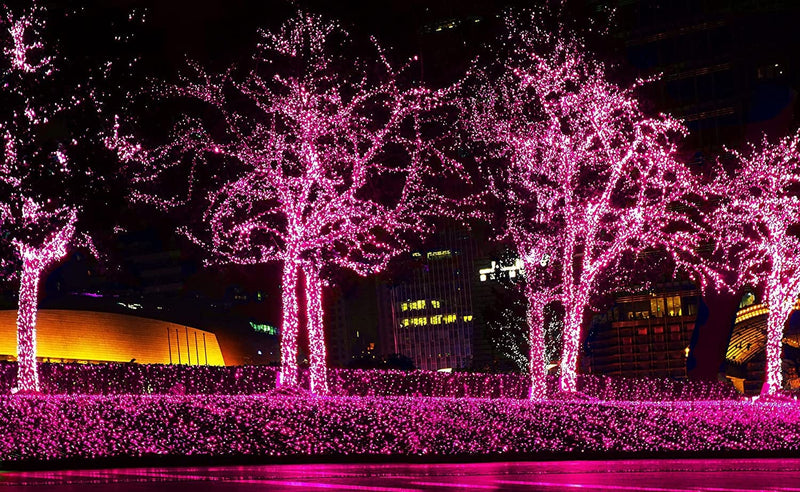 612 Vermont 100 Pink Christmas Lights on a White Wire String, UL Approved, Indoor / Outdoor Use, 18’ of Lighted Length, 20’ of Total Length Home & Garden > Lighting > Light Ropes & Strings 612 Vermont   