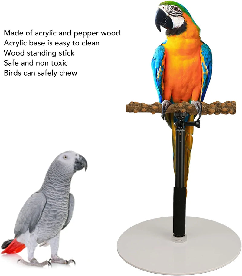 Yinuoday Adjustable Bird Perch Portable Bird Perch Play Stand Detachable Parrot Training Perch Stand for Indoor Outdoor Traveling Animals & Pet Supplies > Pet Supplies > Bird Supplies Yinuoday   