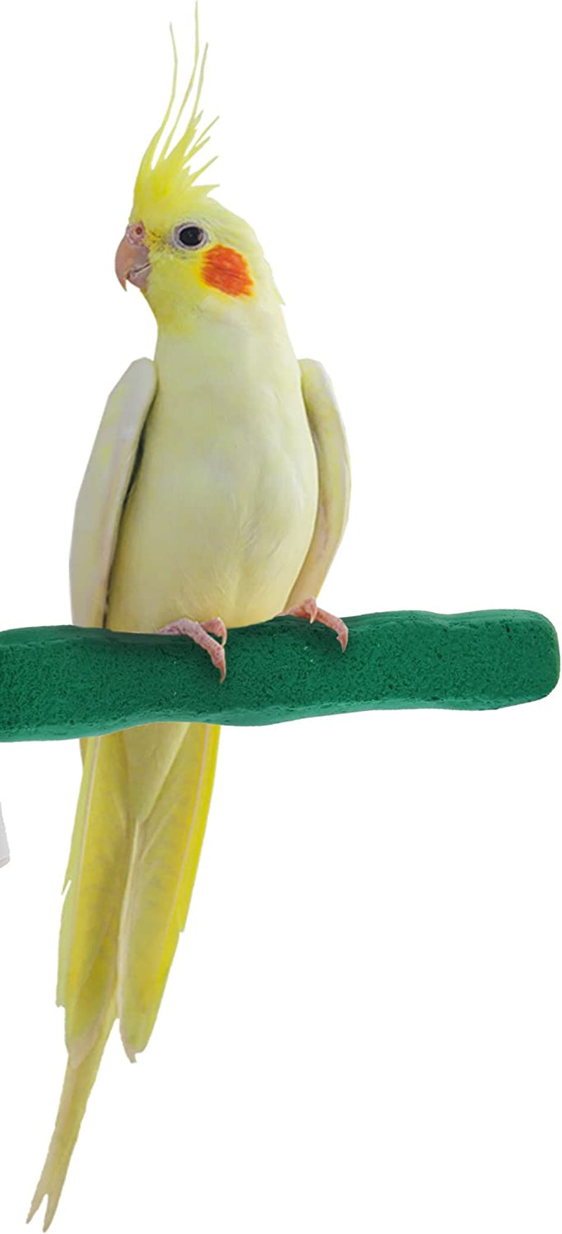Sweet Feet and Beak Comfort Grip Safety Perch for Bird Cages - Patented Pumice Perch for Birds to Keep Nails and Beaks in Top Condition - Safe Easy to Install Bird Cage Accessories - M 8.5" Animals & Pet Supplies > Pet Supplies > Bird Supplies Sweet Feet and Beak Green Small 6.5" 
