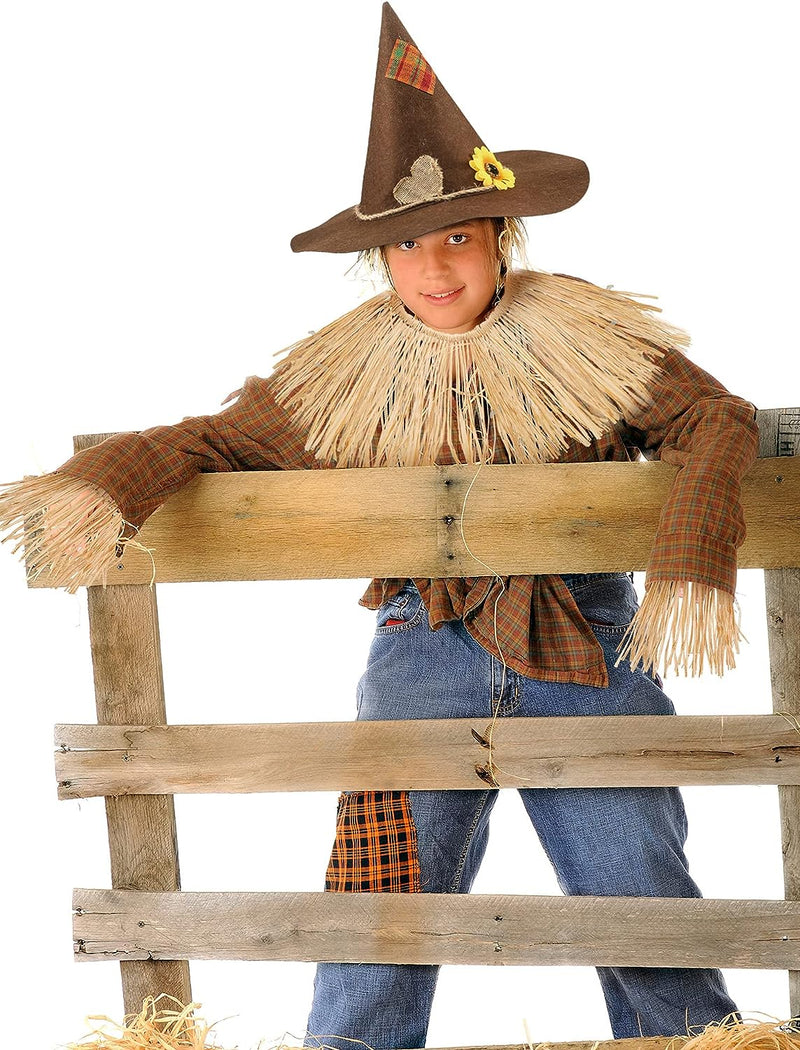 Geyoga 7 Pieces Scarecrow Costume Set Include Raffia Scarecrow Straw Kit Scarecrow Hat for Halloween Harvest Party Accessory  Geyoga   
