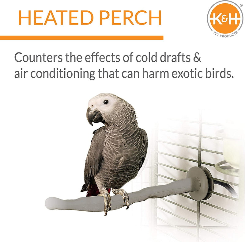 K&H PET PRODUCTS 100537786 Snuggle Warmer for Cage 12V for Exotic Pet Birds, Small/Medium (3" X 5"), Gray & K&H PET PRODUCTS Thermo-Perch Heated Bird Perch Gray Small 1 X 10.5 Inches Animals & Pet Supplies > Pet Supplies > Bird Supplies K&H PET PRODUCTS   