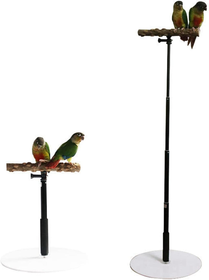 JISADER 2Pcs Bird Perch Parrot Training Perches Lovebirds Parakeets Cockatiel Animals & Pet Supplies > Pet Supplies > Bird Supplies JISADER   