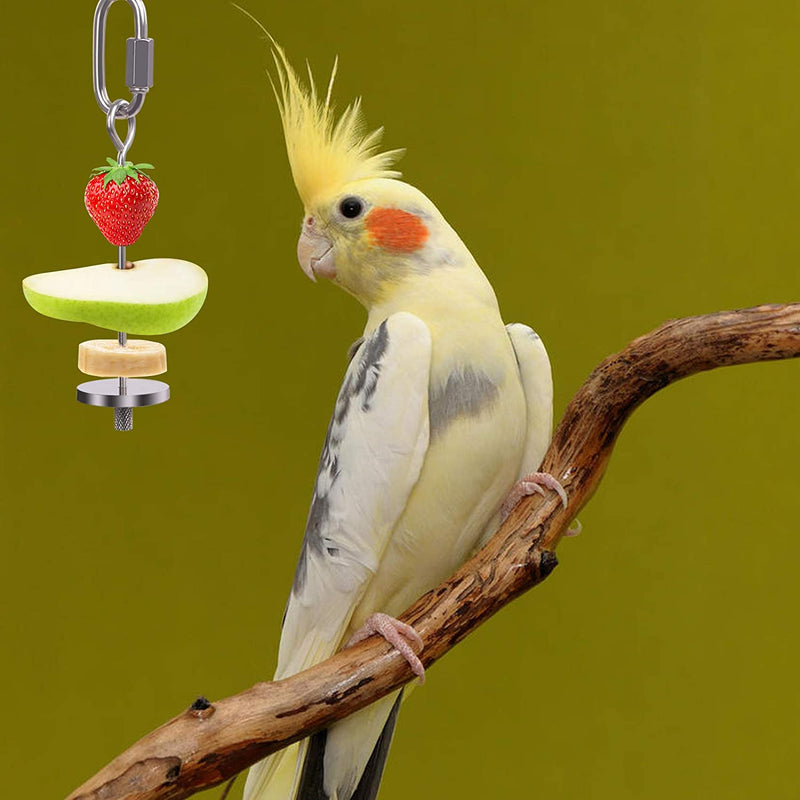 QBLEEV Bird Food Holder, Bird Feeders, Stainless Steel Parrot Fruit Vegetable Stick Holder, Foraging Toy, Bird Treat Skewer Small Size Animals & Pet Supplies > Pet Supplies > Bird Supplies > Bird Toys QBLEEV   