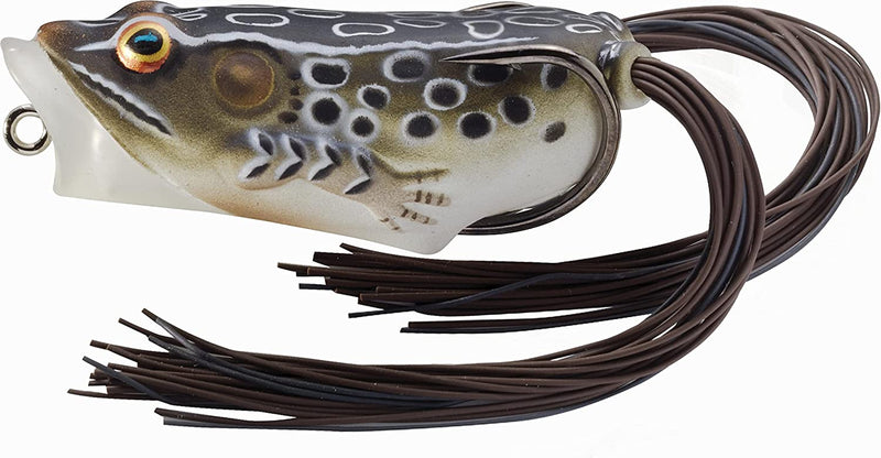 LIVE TARGET Popper Frog Hollow Body Swimbait Sporting Goods > Outdoor Recreation > Fishing > Fishing Tackle > Fishing Baits & Lures Koppers Fishing and Tackle Corporation Brown Black, 2 1/2 Inch - 1/2 Oz - 5/0  