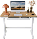 FLEXISPOT EW8 Comhar Electric Standing Desk with Drawers Charging USB a to C Port, Height Adjustable 48" Whole-Piece Quick Install Home Office Computer Laptop Table with Storage (White Top + Frame) Home & Garden > Household Supplies > Storage & Organization FLEXISPOT Bamboo/White Wood 