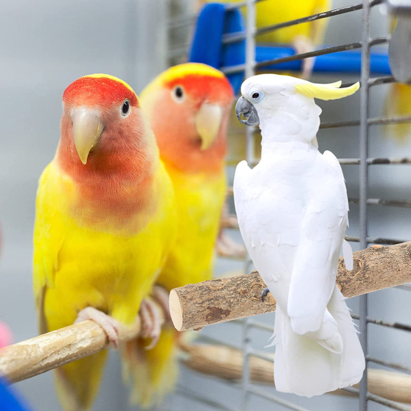 Ipetboom 2Pcs Bird Cage Parrot Stands Household Bird Perches Wear-Resistant Parrot Perches Bird Accessory Animals & Pet Supplies > Pet Supplies > Bird Supplies Ipetboom   