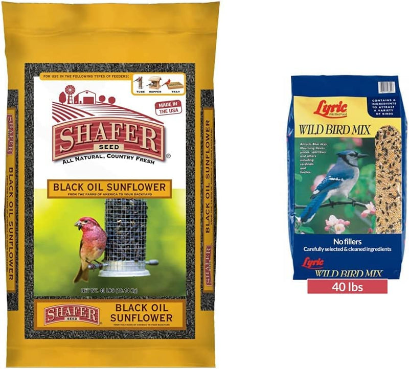 Shafer Seed 51041 40-Pound Bag, Black Oil Sunflower Wild Bird Food Animals & Pet Supplies > Pet Supplies > Bird Supplies > Bird Food Shafer Seed Seed Bag + Mix Bird Seed, 40 lb. Bag  
