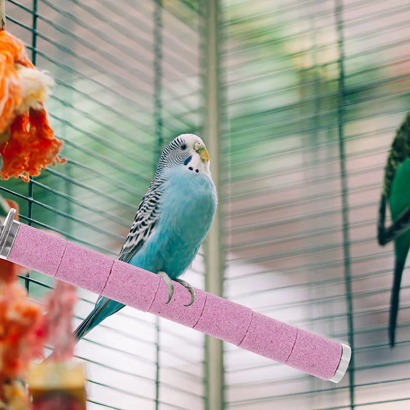 LUOZZY Bird Perch for Bird Cage Parrot Standing Stick Parrot Perch Scratching Stick, Pink Animals & Pet Supplies > Pet Supplies > Bird Supplies LUOZZY   