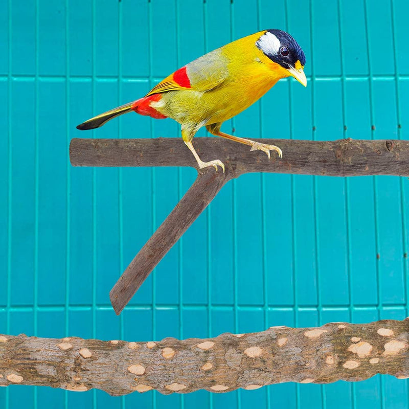 4 PCS Bird Perch Natural Wood Stands for Parrots Cage Accessories Standing Branches for Parrots Gnawing Chewing Wooden Rod Perches Bifurcation Nature Vines for Budgies 25Cm Bird Toy Cage Decoration Animals & Pet Supplies > Pet Supplies > Bird Supplies HongFuni   