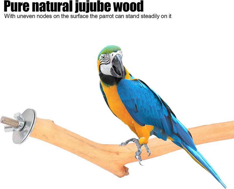 Eurobuy Bird Cage Perch Natural Wood Parrot Bird Grinding Claw Standing Stick Safe for Most Birds(Yellow) Animals & Pet Supplies > Pet Supplies > Bird Supplies Eurobuy   