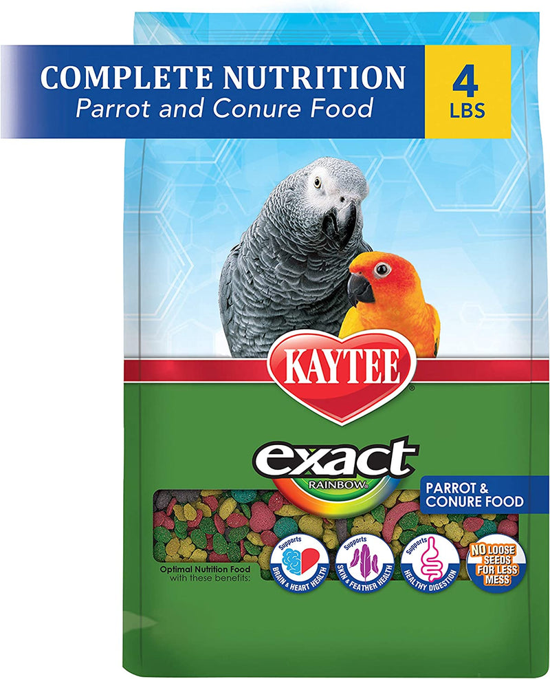 Kaytee Exact Rainbow Pet Parrot & Conure Food, 4 Pound Animals & Pet Supplies > Pet Supplies > Bird Supplies > Bird Food Kaytee 4 Pound (Pack of 1)  