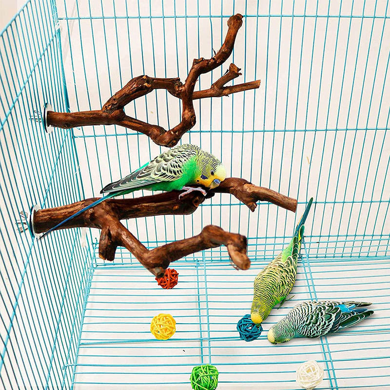 Natural Grape Stick Parrot Bird Perch Stand, Natural Grapevine Bird Cage Stand Pole Accessories, Paw Grinding Standing Climbing Perch for Parrot, Parakeet, Budgies, Lovebirds (1 Pack) Animals & Pet Supplies > Pet Supplies > Bird Supplies Dnoifne   