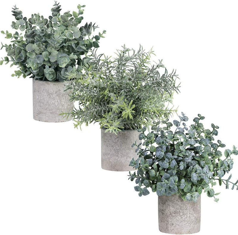 Winlyn Set of 3 Mini Potted Artificial Eucalyptus Plants Plastic Fake Green Rosemary Plant for Home Decor Office Desk Shower Room Decoration Home & Garden > Decor > Seasonal & Holiday Decorations Winlyn   