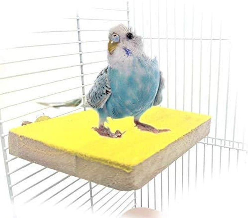 Colorful Bird Perch Stand Platform Natural Wood Playground Paw Grinding Clean for Pet Parrot Budgies Parakeet Cockatiels Conure Lovebirds Rat Mouse Cage Accessories Exercise Toys (Random) Animals & Pet Supplies > Pet Supplies > Bird Supplies Mrli Pet Yellow  