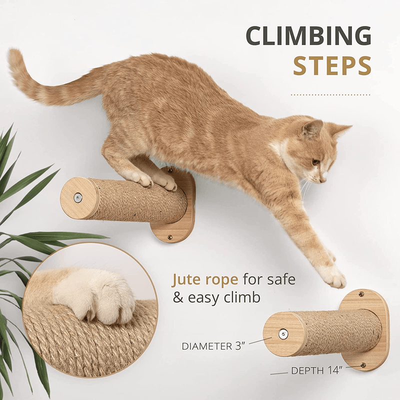 7 Ruby Road Cat Hammock Wall Mounted Cat Shelf with Two Steps - Cat Wall Shelves and Perches for Sleeping, Playing, Climbing, and Lounging - Modern Cat Bed & Furniture for Large Cats or Kitty Animals & Pet Supplies > Pet Supplies > Cat Supplies > Cat Beds 7 Ruby Road   