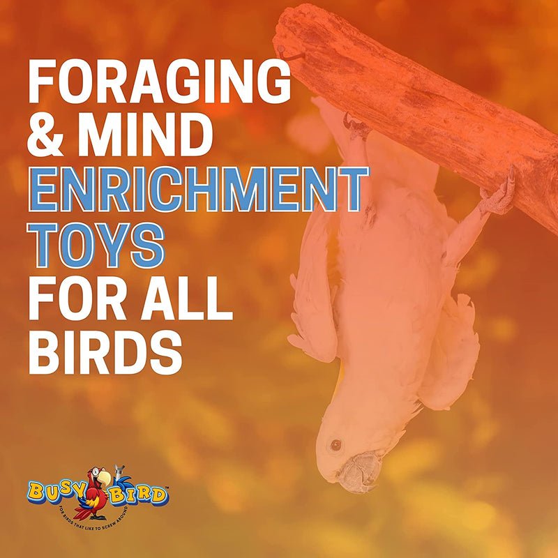 Busy Bird | Ele-Waiter Foraging Bird Toy - Helicopter Arm Adjusts Elevator to Expose Treats - 100% Metal, Ultimate Brain Teaser and Mind Game for Medium to Extra Large Birds Animals & Pet Supplies > Pet Supplies > Bird Supplies > Bird Toys Pacific Rim Resources Ltd   