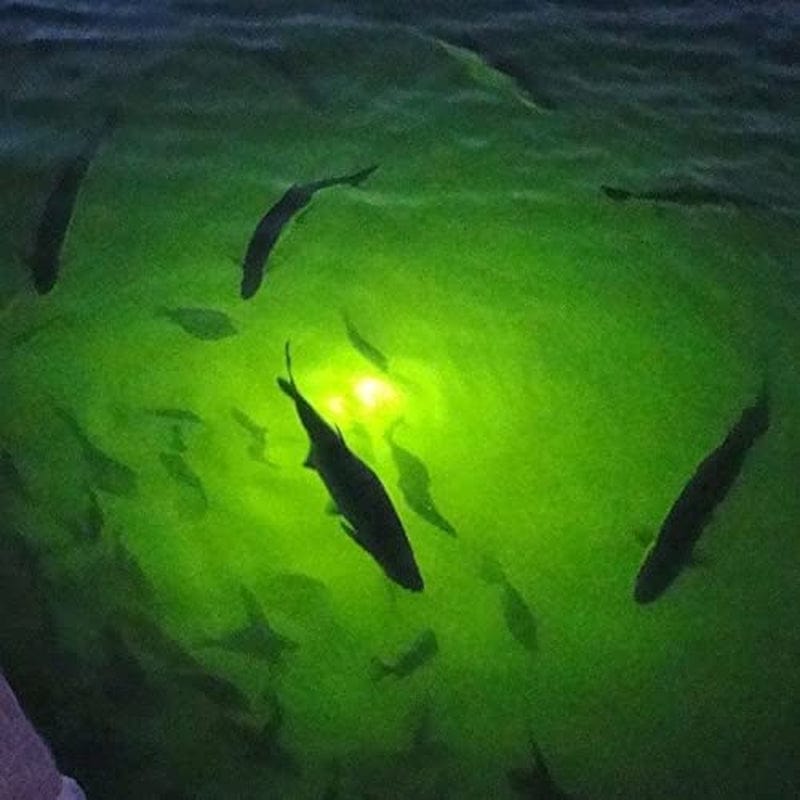 70W 130W DC 12V IP68 Waterproof Aluminum High Power Glowing Boat Fish Attractants Lure Green Submersible Fishing Lights LED Underwater for at Night Snook Crappie with Battery Clips Cigarette Charger Plug Home & Garden > Pool & Spa > Pool & Spa Accessories Cixi Jidian Electric Appliance Co., Ltd.   