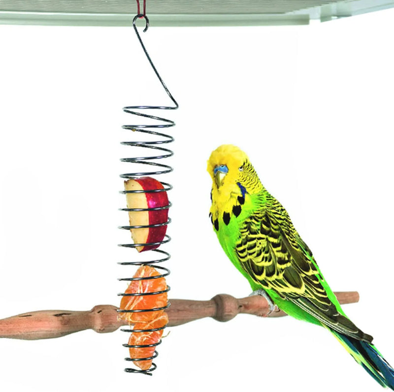 Bird Food Holder, Parrots Foraging Toys for Birdcage, Hanging Stainless Steel Bird Treat Feeders, Bird Food Basket for Fruit Vegetable Grain Wheat，Chew Toys for Conures Parakeets Cockatoos Animals & Pet Supplies > Pet Supplies > Bird Supplies > Bird Cage Accessories > Bird Cage Food & Water Dishes QBLEEV   