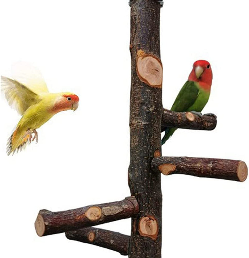 POPETPOP Wood Bird Perch for Bird Cages Parrot Stand Perch Paw Grinding Stick Perch Stand Exercise Playground Toys for Budgies Cockatiel Conure Parakeet Lovebirds 8Cm