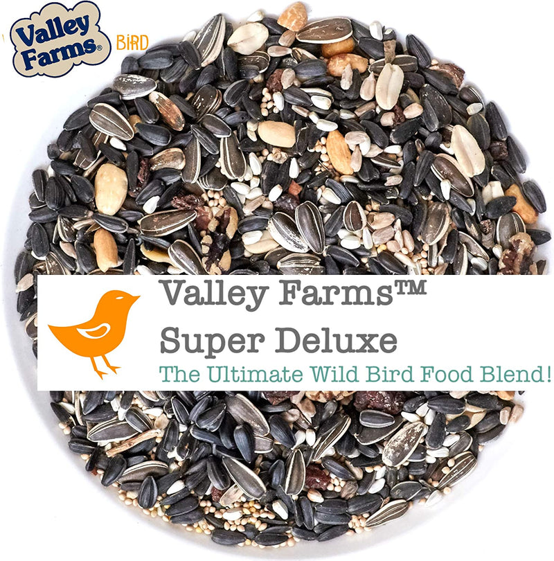 Valley Farms Super Deluxe Wild Bird Food - the Ultimate Wild Bird Seed Mix (15 LBS) Animals & Pet Supplies > Pet Supplies > Bird Supplies > Bird Food Truffa Seed Co Inc   