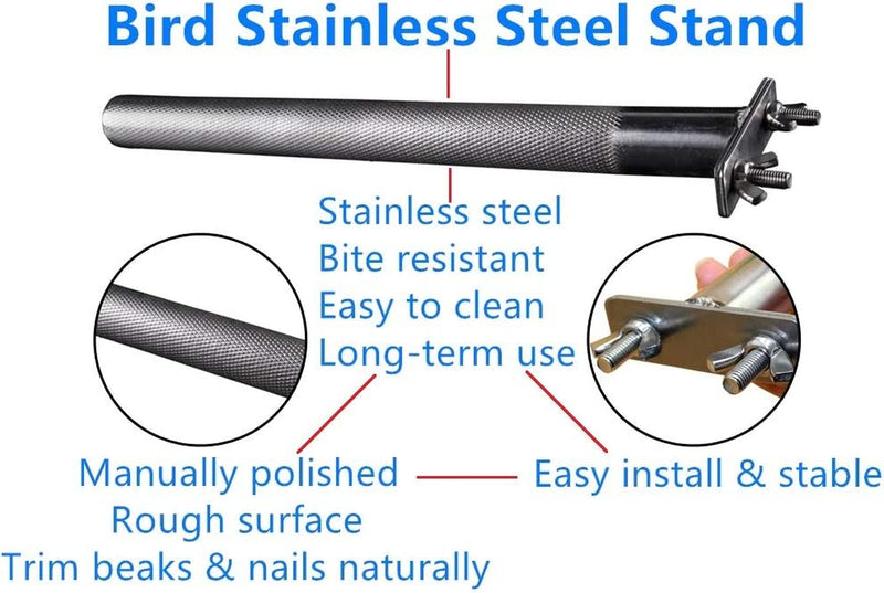 Bird Perch Stainless Steel Stand Parrot Rod Grinding Claws Trimming Beak Nails Grinding Stick Exercise Platform for Parakeet Cockatiel Conure African Grey Macaw Finch Bird Cage Accessories (XL) Animals & Pet Supplies > Pet Supplies > Bird Supplies Litewood   