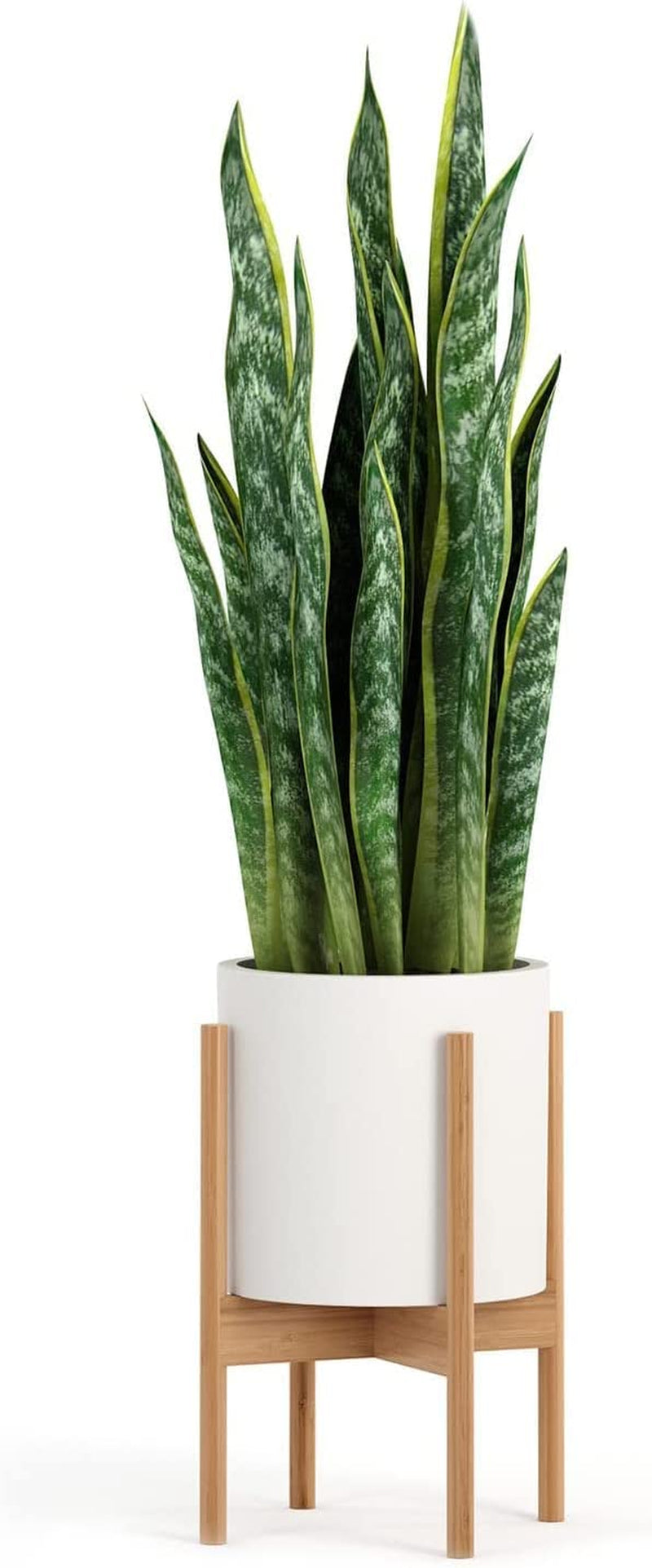 Fox & Fern Mid Century Modern Plant Stand, Plant Stand Indoor, Indoor Plant Stand, Plant Stands for Indoor Plants, Plant Holder, Corner Plant Stand - excluding Plant Pot - Acacia Wood - Fits 10" Pot Sporting Goods > Outdoor Recreation > Fishing > Fishing Rods Fox & Fern Bamboo Fits 10" Pot 