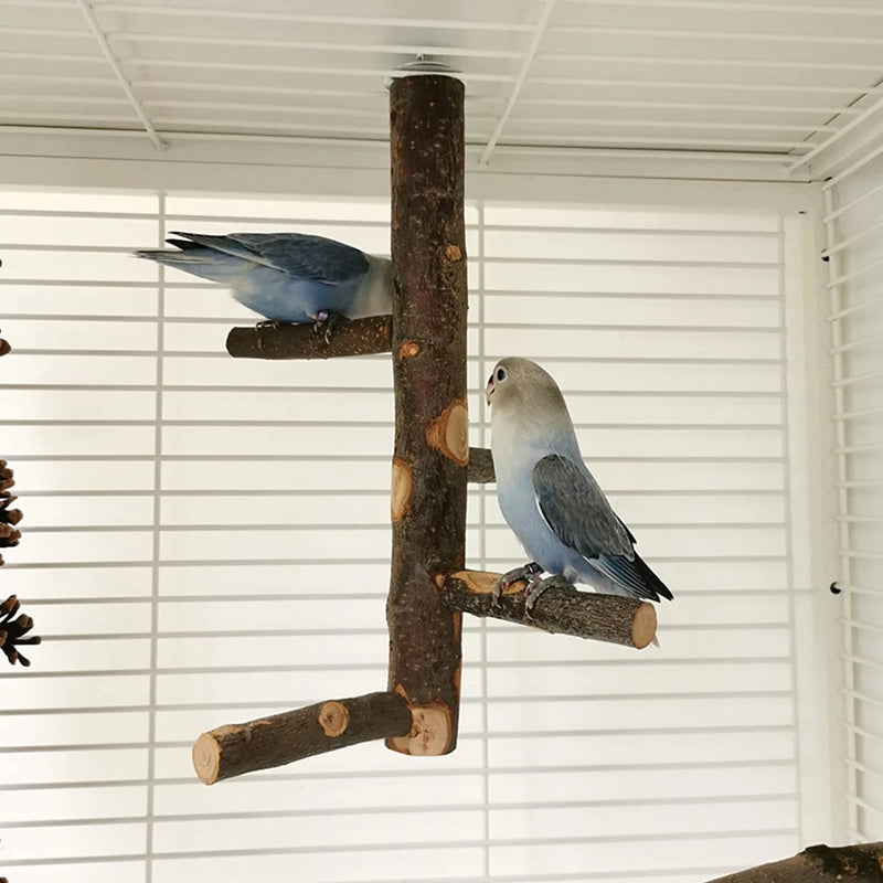 Kathson Parrots Perch Natural Fruit Wood Stand Toy Branch Paw Grinding Standing Climbing Toy Cage Accessories for Small and Medium Birds,Parakeets,Lovebirds,African Grey,Cockatiels Animals & Pet Supplies > Pet Supplies > Bird Supplies kathson   