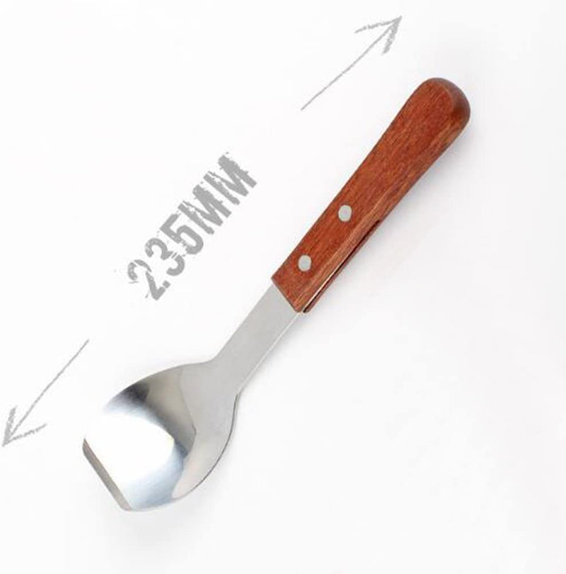 Ice Cream Metal Spade, LU2000 9 Inches Sweets Blade Scoop Wedding Buffet Cooking Tool for BBQ & Kitchen Cook Cake Scraper Stainless Spoon Shovel Large Ice Cream Scooper