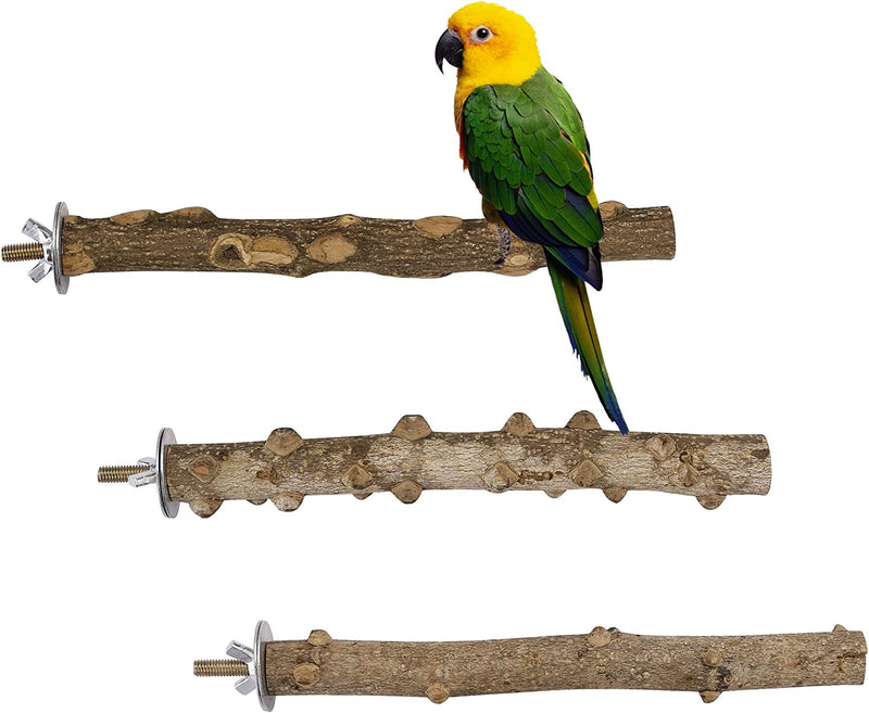 Filhome Bird Perch Stand Toy, Natural Wood Parrot Perch Bird Cage Branch Perch Accessories for Parakeets Cockatiels Conures Macaws Finches Love Birds(9.8" Length) Animals & Pet Supplies > Pet Supplies > Bird Supplies Timwaygo 3PCS 8"Lenght  