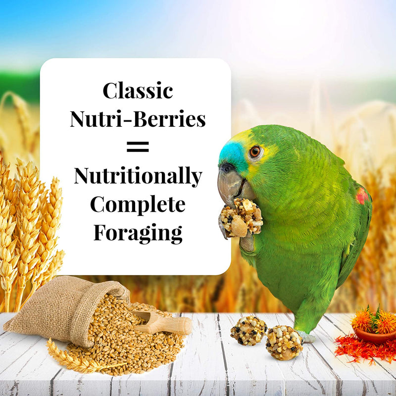 Lafeber Classic Nutri-Berries Pet Bird Food, Made with Non-Gmo and Human-Grade Ingredients, for Parrots, 3.25 Lb Animals & Pet Supplies > Pet Supplies > Bird Supplies > Bird Food Lafeber Company   
