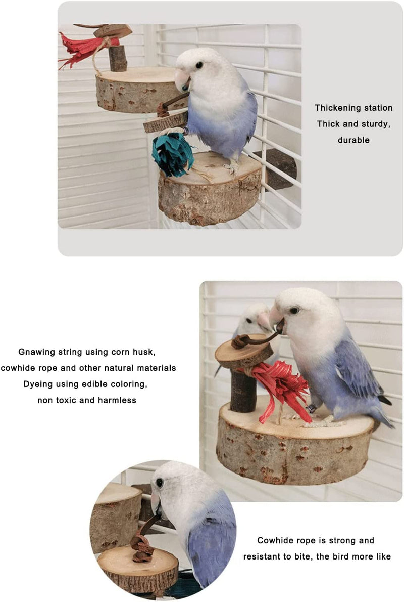 Bird round Wooden Stand Platform, Bite Resistant Parrot Perch Platform Natural Materials Thickened Stand Healthy Durable for Cockatiel(S) Animals & Pet Supplies > Pet Supplies > Bird Supplies Jeanoko   