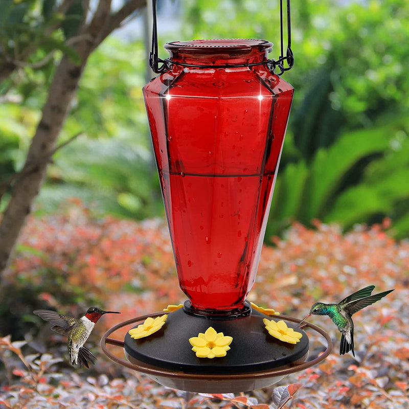 Juegoal Glass Hummingbird Feeders for Outdoors - 22 Oz Wild Bird Feeder 5 Feeding Ports, Diamond Shaped Metal Handle Hanging for Garden Tree Yard outside Decoration, Red Animals & Pet Supplies > Pet Supplies > Bird Supplies > Bird Cage Accessories > Bird Cage Food & Water Dishes Juegoal   