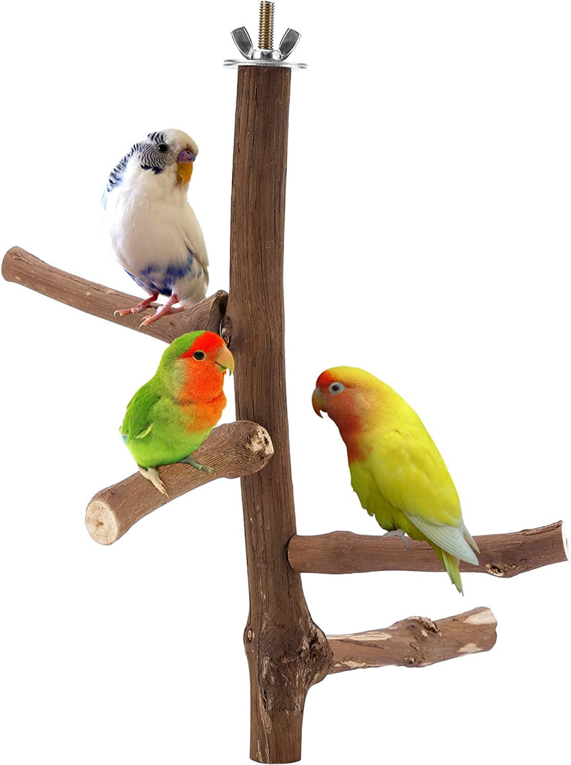 Filhome Bird Perch Stand Toy, Natural Wood Parrot Perch Bird Cage Branch Perch Accessories for Parakeets Cockatiels Conures Macaws Finches Love Birds(9.8" Length) Animals & Pet Supplies > Pet Supplies > Bird Supplies Timwaygo 9.8"Length  
