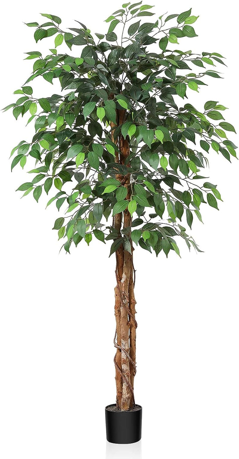 OAKRED 7FT Silk Artificial Ficus Tree with Realistic Leaves and Natural Trunk Fake Plants Tall Fake Tree Faux Ficus Tree for Office House Living Room Home Decor Indoor Outdoor,Set of 1  OAKRED 1 5 Ft 