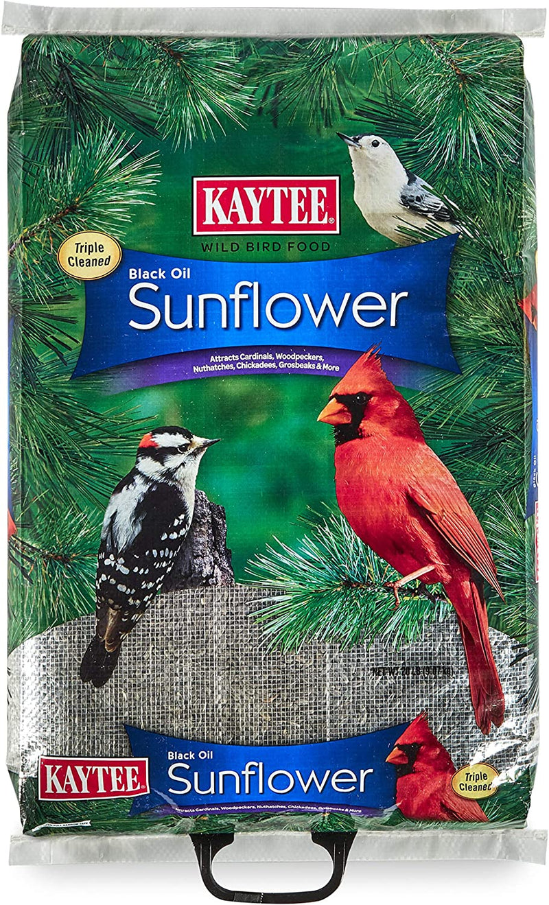 Kaytee Wild Bird Food Black Oil Sunflower - 5 Lb Animals & Pet Supplies > Pet Supplies > Bird Supplies > Bird Food Kaytee Black Oil Sunflower 20-Pound 