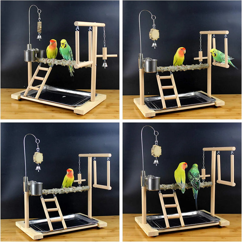 QBLEEV Bird Playground Birdcage Playstand Parrot Play Gym Parakeet Cage Decor Budgie Perch Stand with Feeder Seed Cups Ladder Hanging Swing Chew Toys Conure Macaw Cockatiel Finch (Prickly Ash Wood) Animals & Pet Supplies > Pet Supplies > Bird Supplies QBLEEV   