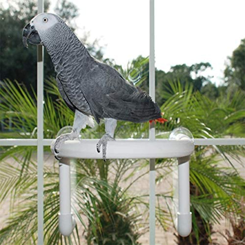 Feathersmart Bird Parrot Shower Perch (Large Round Animals & Pet Supplies > Pet Supplies > Bird Supplies FeatherSmart   