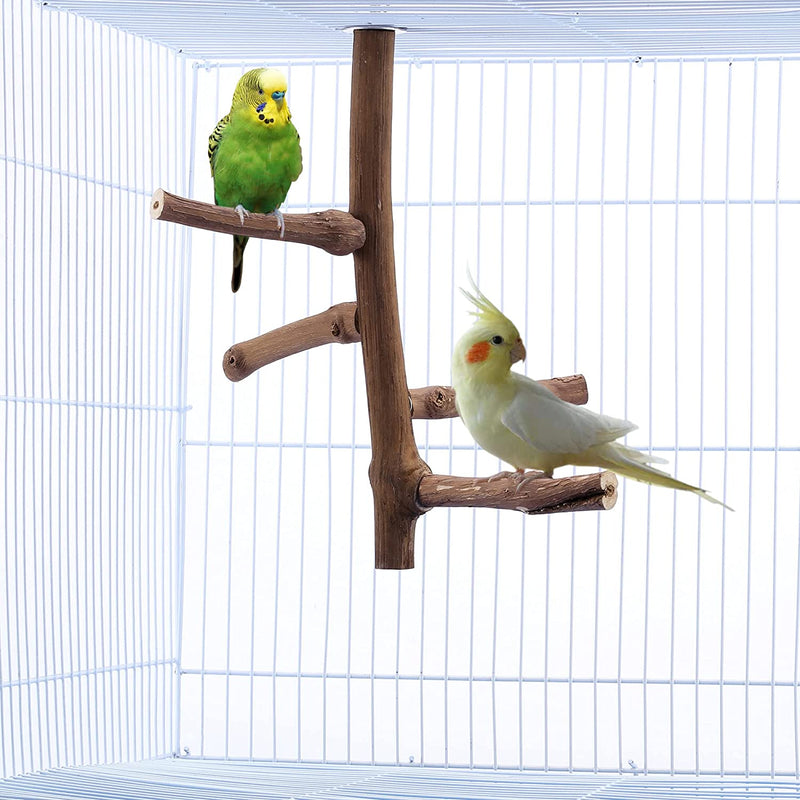 Filhome Bird Perch Stand Toy, Natural Wood Parrot Perch Bird Cage Branch Perch Accessories for Parakeets Cockatiels Conures Macaws Finches Love Birds(9.8" Length) Animals & Pet Supplies > Pet Supplies > Bird Supplies Timwaygo   