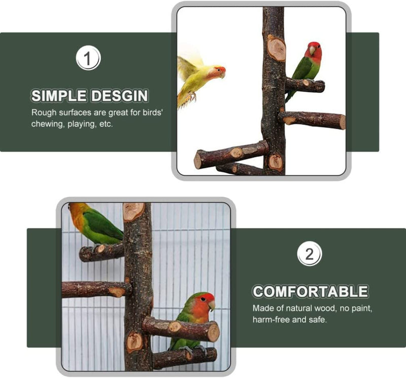 Ipetboom 1 Set Bird Cage Stand Wooden Perch Toy Training Stand Perch for Parrot Birds Animals & Pet Supplies > Pet Supplies > Bird Supplies Ipetboom   