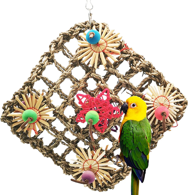 Kewkont Bird Parrot Toys,Seagrass Foraging Wall Toy for Birds，Suitable for Small Parakeets,Budgie,Macaws,Conures,Finches,Love Birds Animals & Pet Supplies > Pet Supplies > Bird Supplies > Bird Toys G-HY   