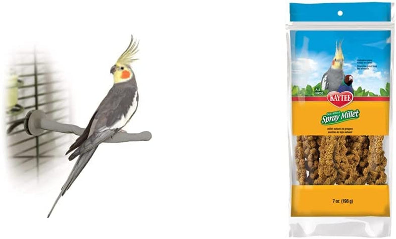 K&H PET PRODUCTS Thermo-Perch Heated Bird Perch Gray Small 1 X 10.5 Inches & Kaytee Spray Millet Treat for Pet Birds, 7 Ounce Animals & Pet Supplies > Pet Supplies > Bird Supplies K&H PET PRODUCTS Recyclable Box + Millet Treat Small 1 X 10.5 Inches 