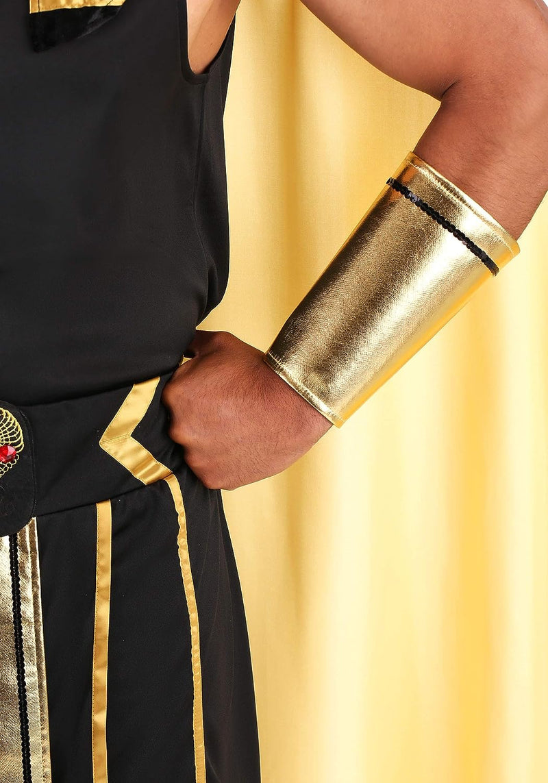 Dreamgirl Men'S Adult Fashion King of Egypt King Tut Costume, Gold