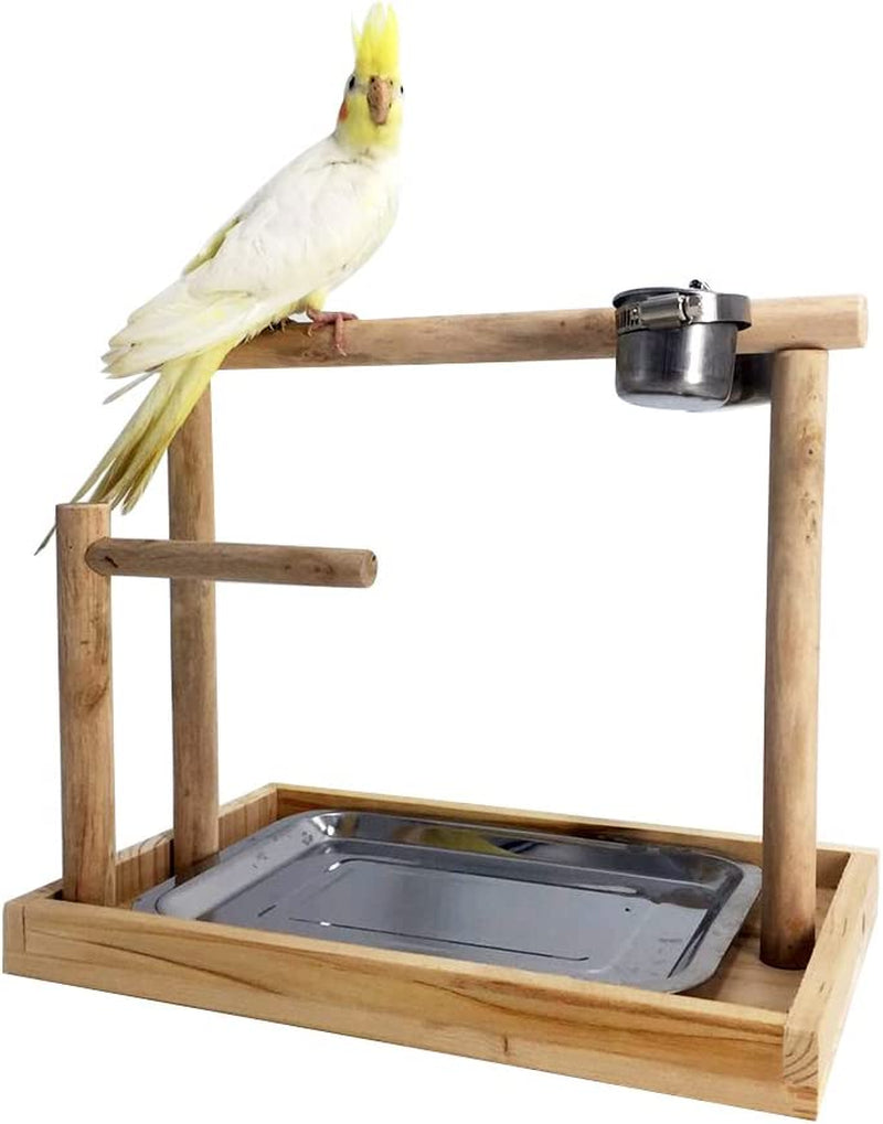 Borangs Parrot Playstand Bird Playground Wood Perch Gym Training Stand Playpen Bird Toys Exercise Playgym for Parakeet Conure Cockatiel Small Birds Cage Accessories Exercise Toy (Include a Tray) Animals & Pet Supplies > Pet Supplies > Bird Supplies Borangs   