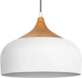 Tomons Pendant Light Modern Lantern Lighting with LED Bulb, Wood Pattern Dome Minimalist Style Ceiling Hanging Lamp for Kitchen Island, Dining Room, Living Room, Bedroom, Coffee Bar - White Home & Garden > Lighting > Lighting Fixtures Tomons White  