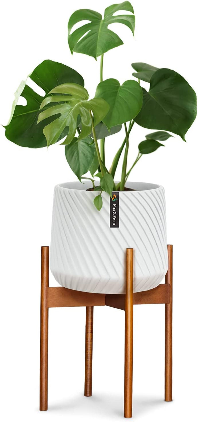 Fox & Fern Mid Century Modern Plant Stand, Plant Stand Indoor, Indoor Plant Stand, Plant Stands for Indoor Plants, Plant Holder, Corner Plant Stand - excluding Plant Pot - Acacia Wood - Fits 10" Pot Sporting Goods > Outdoor Recreation > Fishing > Fishing Rods Fox & Fern Acacia Fits 12" Pot 